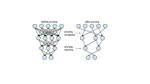 Compression Techniques for Deep Neural Networks